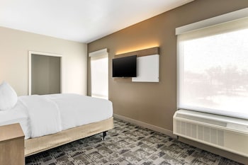 comfort inn and suites new port richey downtown district