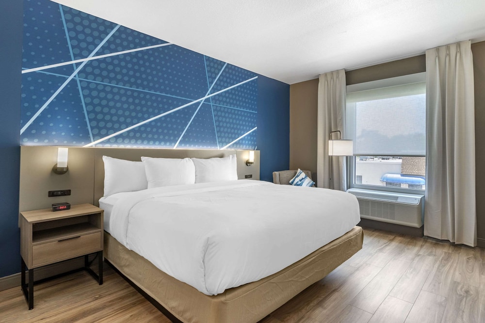 comfort inn and suites new port richey downtown district