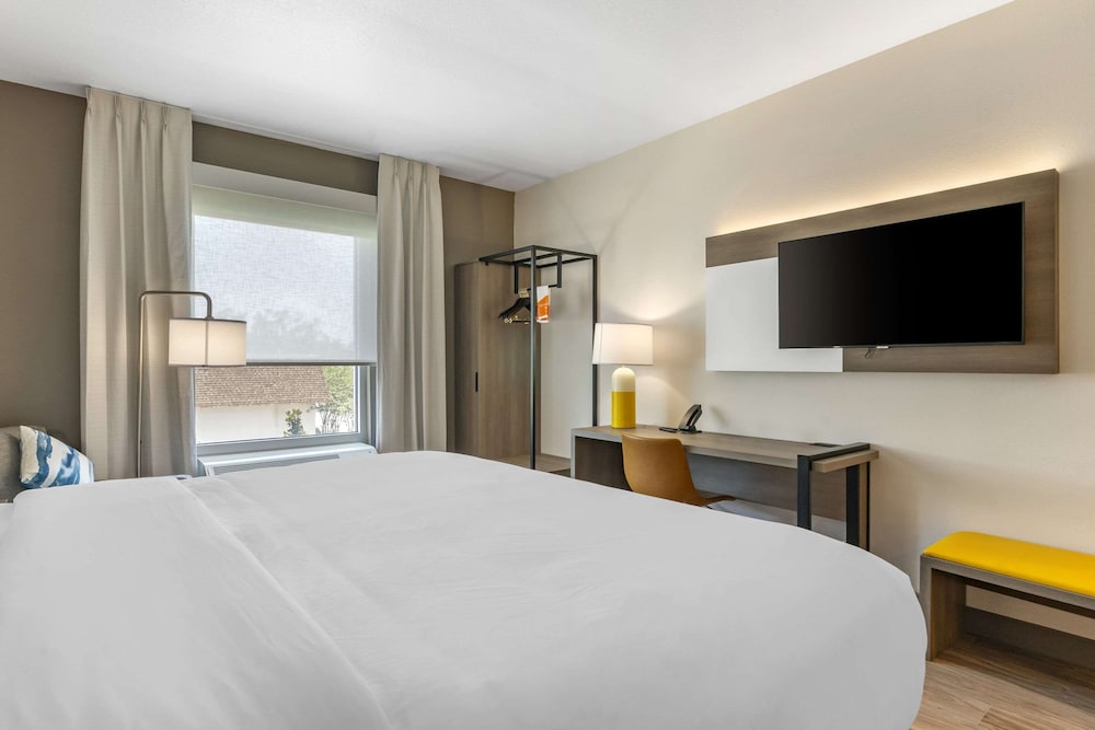 comfort inn and suites new port richey downtown district