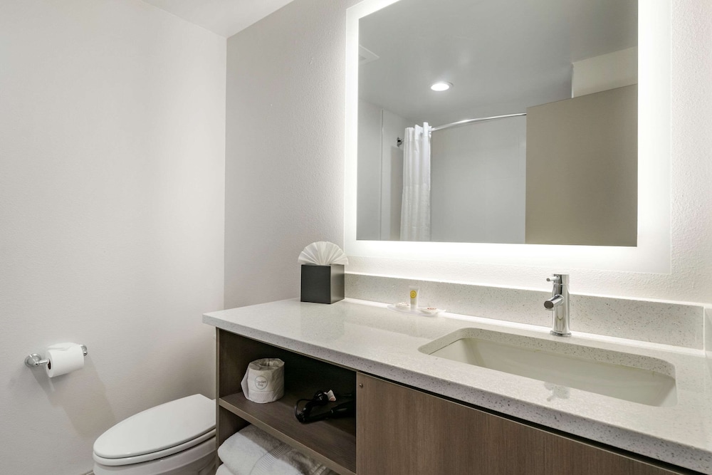 comfort inn and suites new port richey downtown district