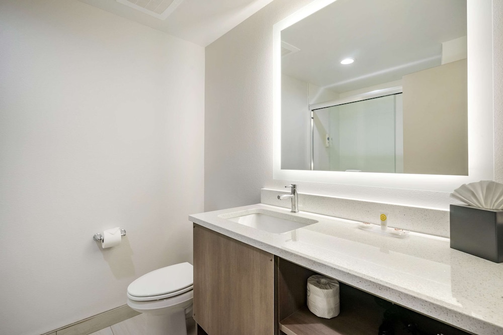 comfort inn and suites new port richey downtown district