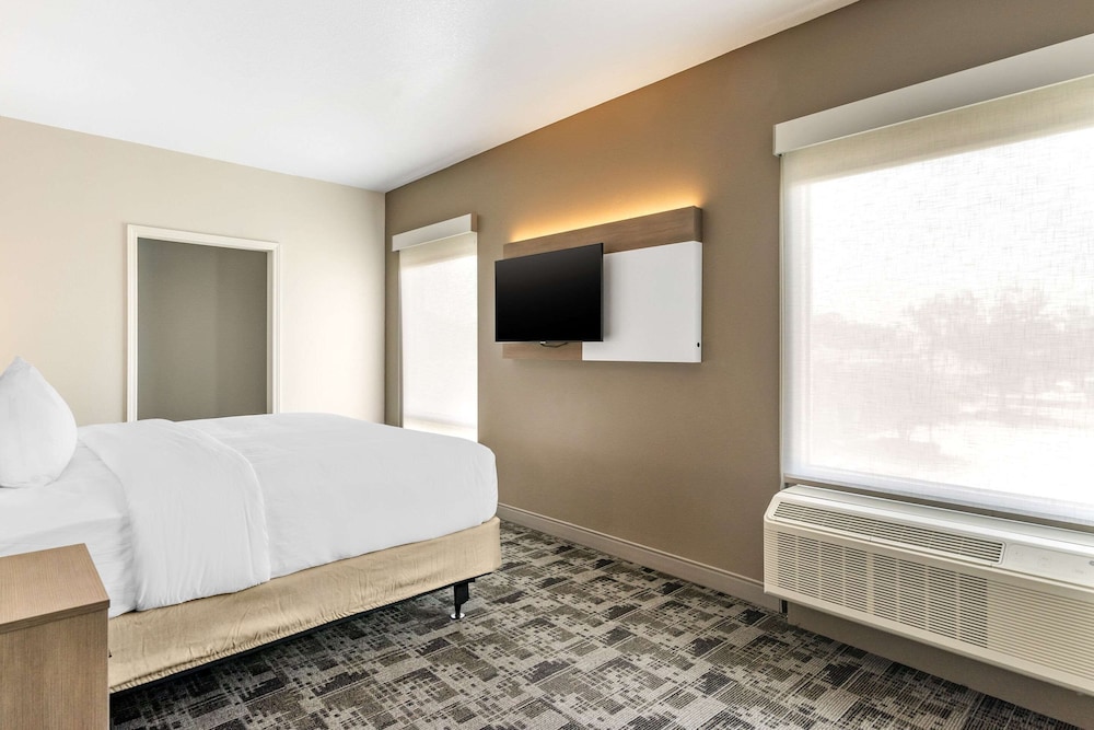 comfort inn and suites new port richey downtown district