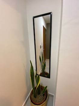 hotel bambu milla de oro