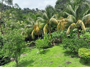 pinards mountain resort