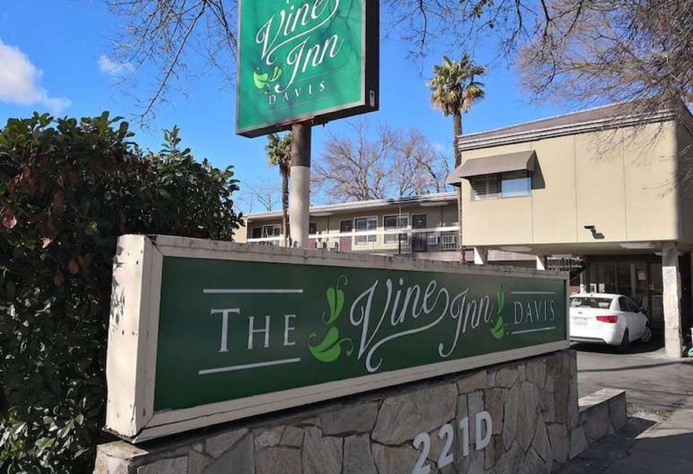 the vine inn davis
