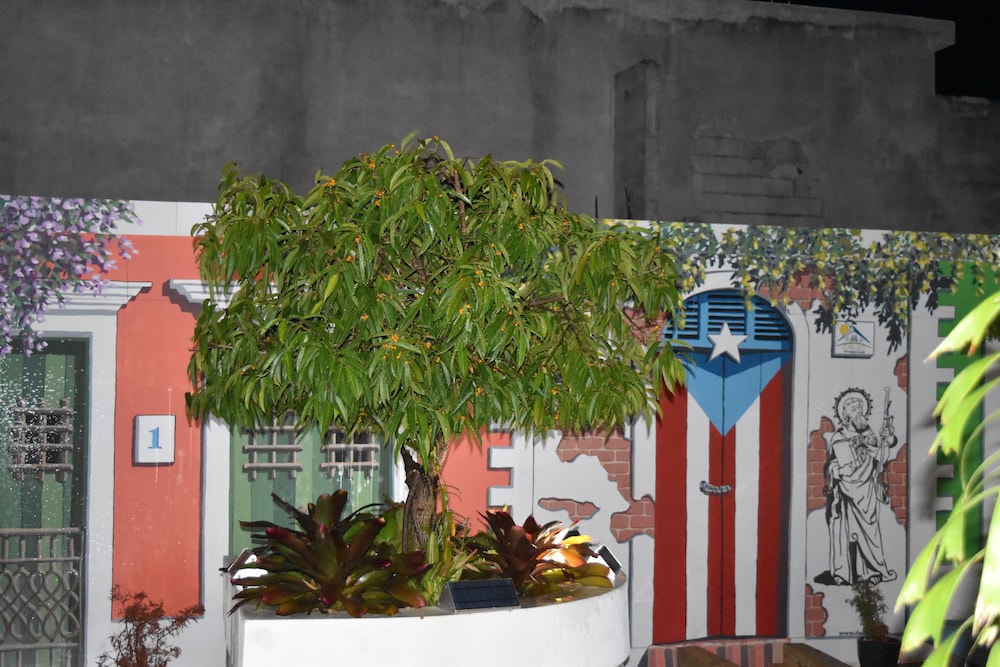 calizo vip guest house