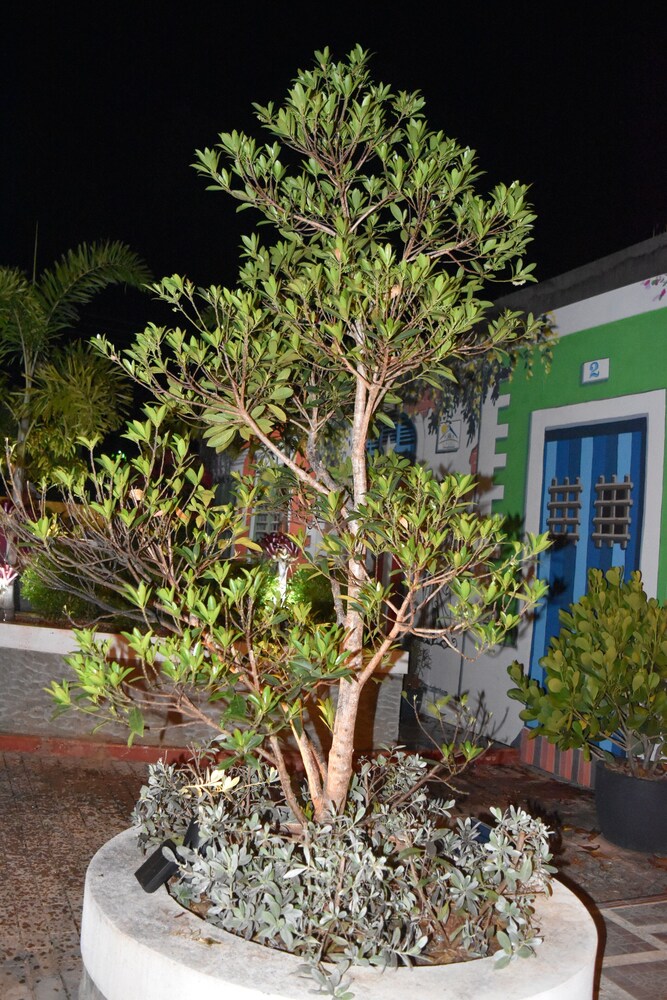 calizo vip guest house