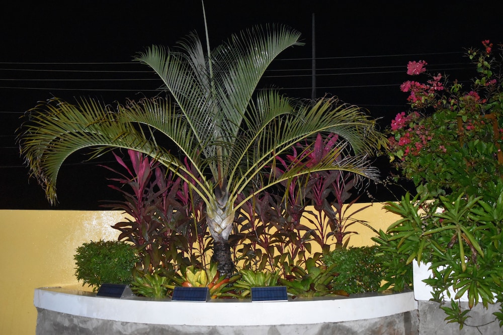 calizo vip guest house