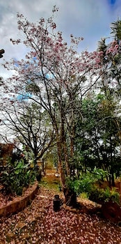 villa chelsey