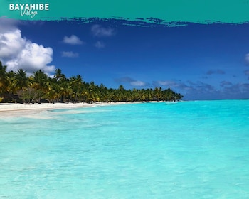 tribe inn and rooftop lounge