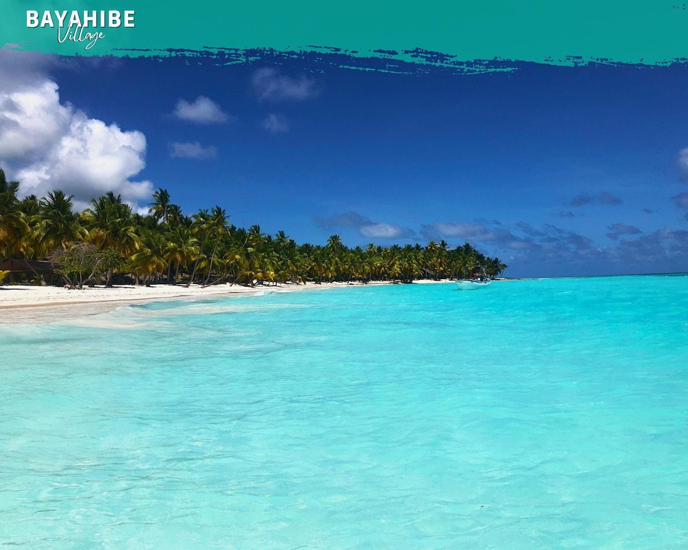 tribe inn and rooftop lounge