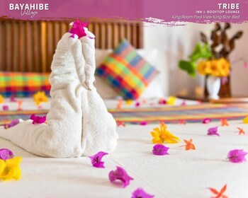 tribe inn and rooftop lounge