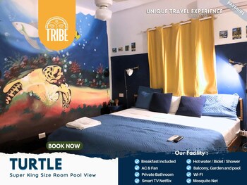 tribe inn and rooftop lounge