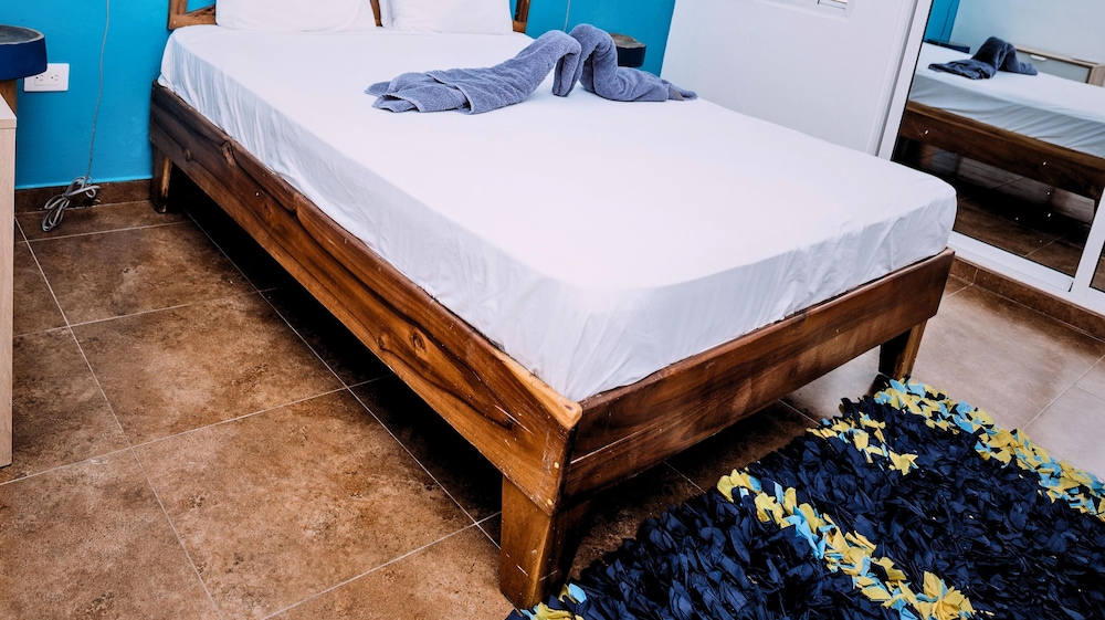 tribe inn and rooftop lounge