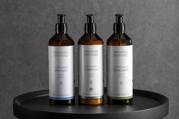 mercure tokyo haneda airport