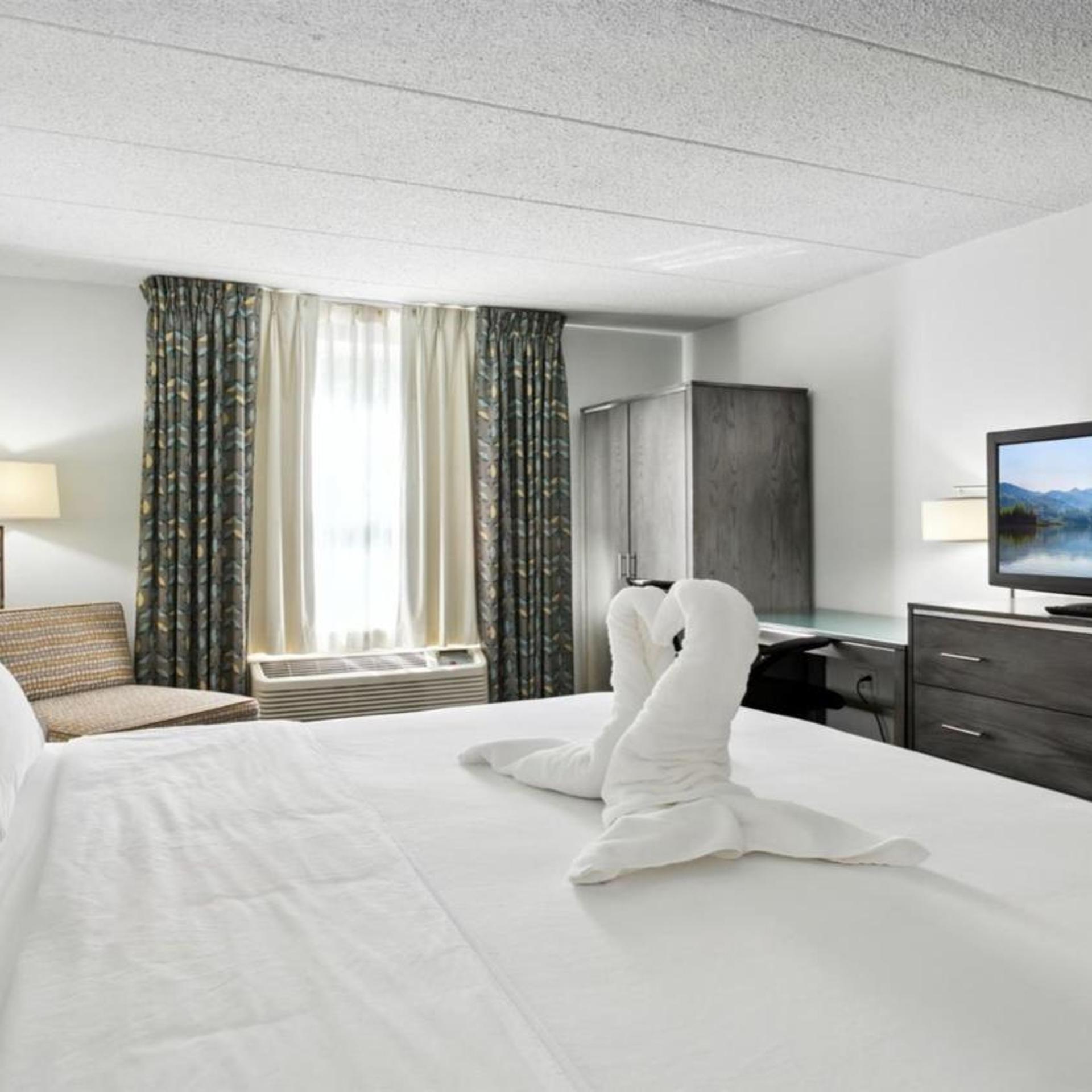 holiday inn express williamsburg north by ihg