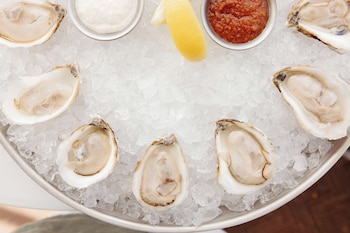 the hiatus clearwater beach curio collection by hilton
