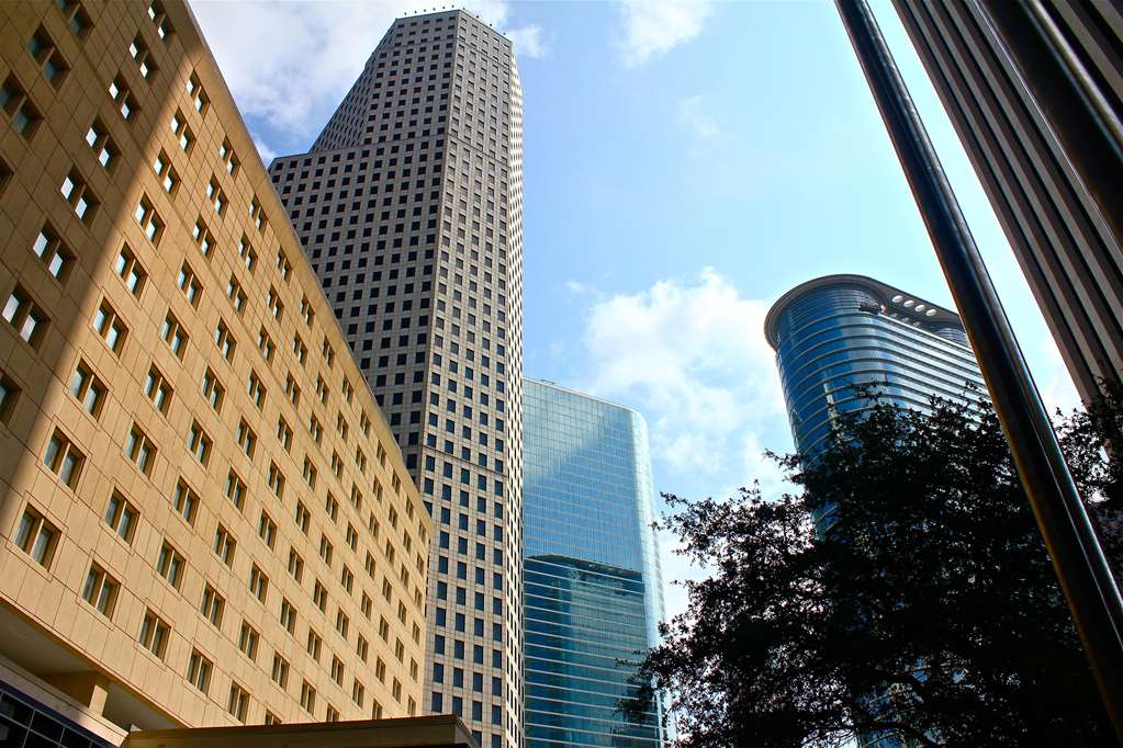 the whitehall houston