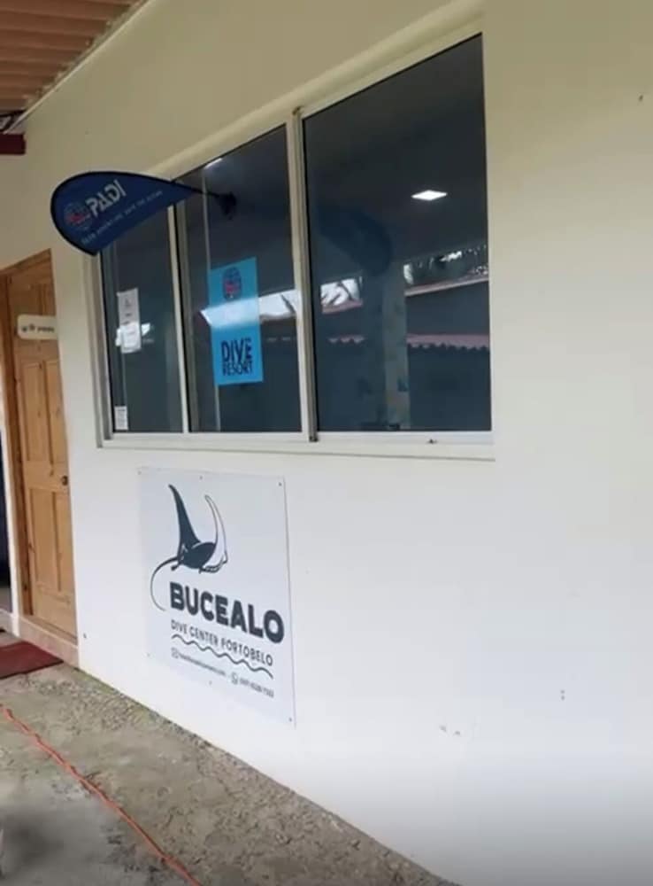 panama dive adventure