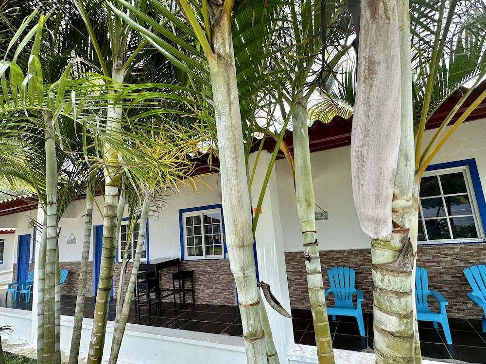 panama dive adventure