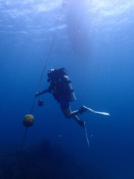 panama dive adventure