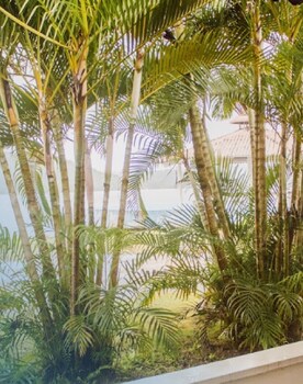 panama dive adventure