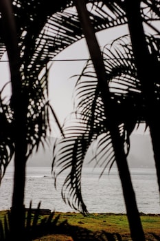panama dive adventure