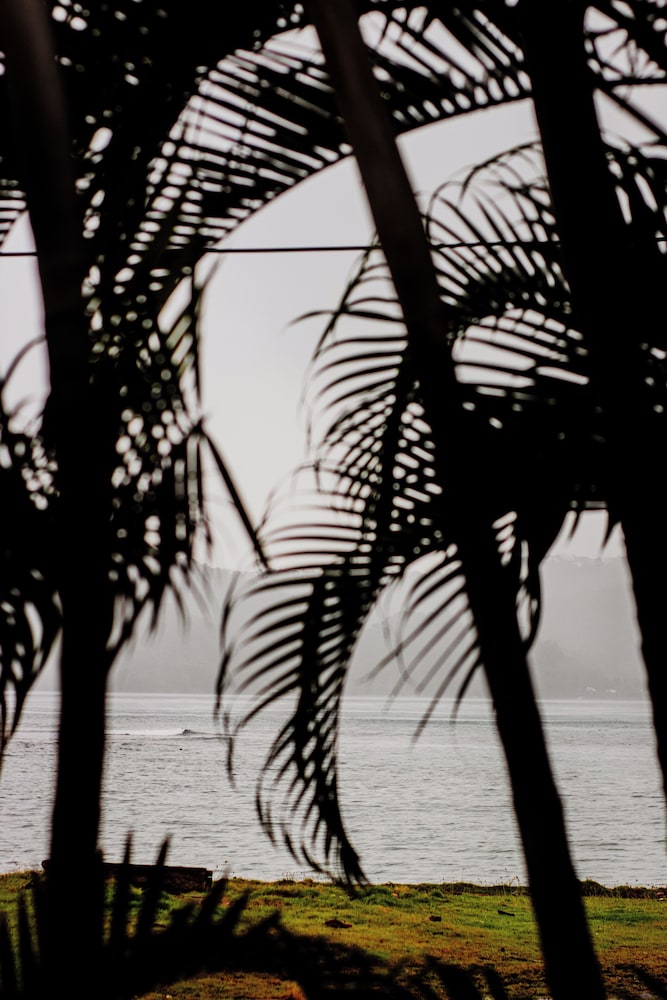 panama dive adventure