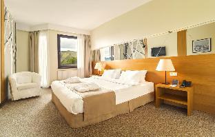Hotel Gudauri Marco Polo,Ganisi>>Dusheti,4 star