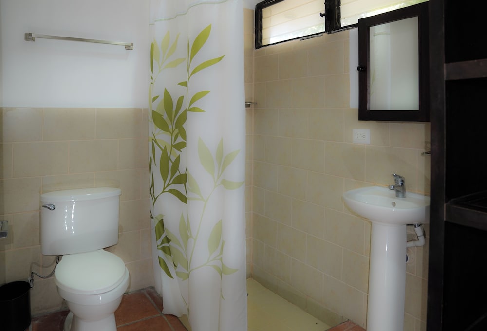 room to roam playa gigante