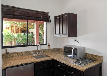 room to roam playa gigante