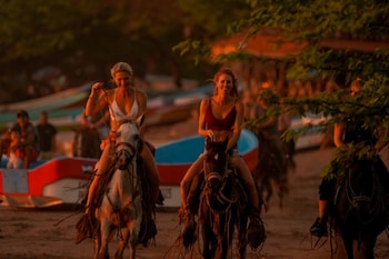 room to roam playa gigante