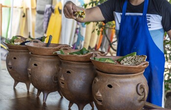 room to roam playa gigante