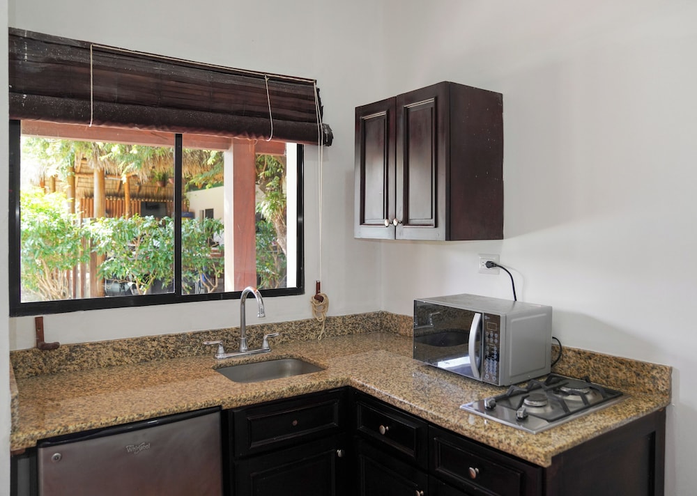 room to roam playa gigante