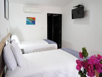 room to roam playa gigante