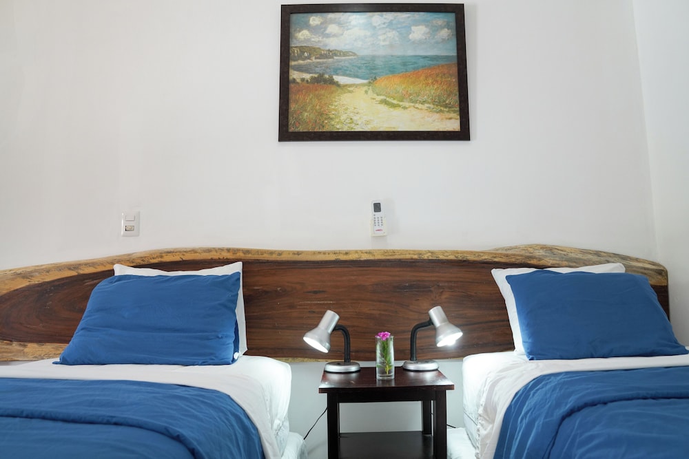 room to roam playa gigante