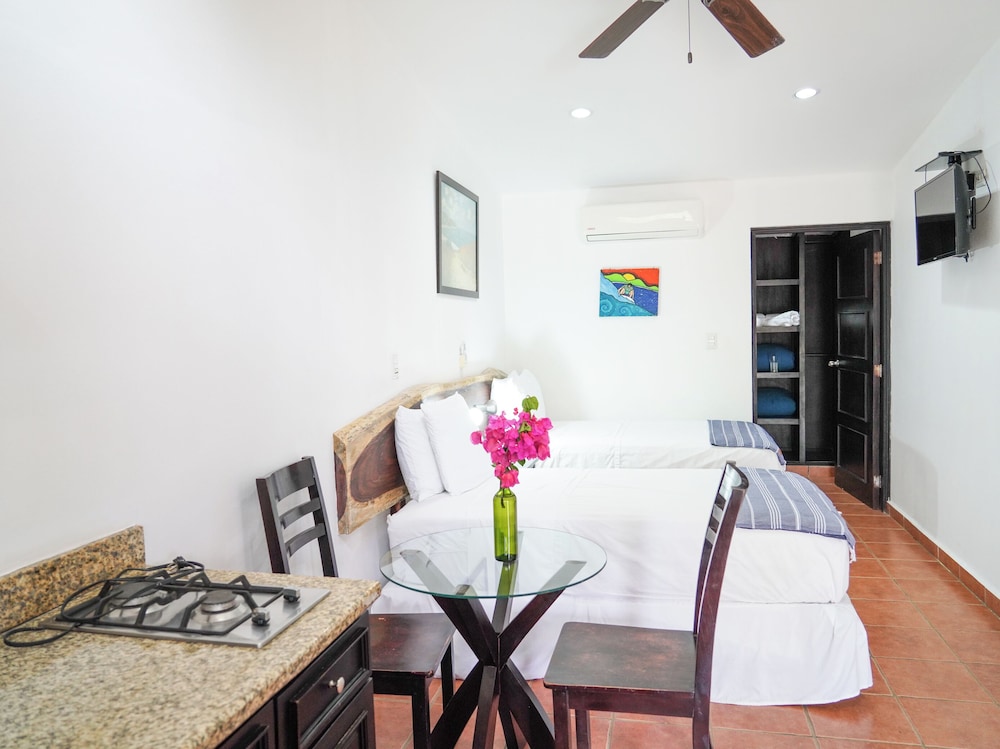 room to roam playa gigante