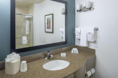 hilton garden inn dfw north grapevine