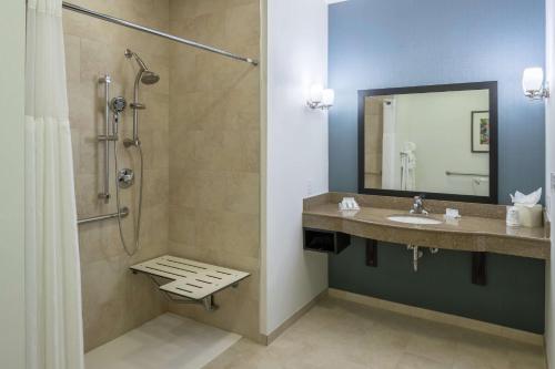 hilton garden inn dfw north grapevine