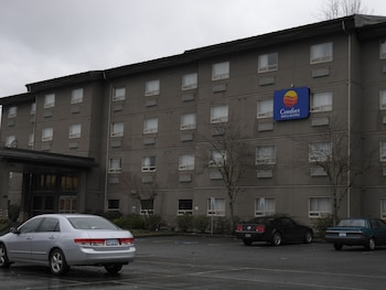 comfort inn and suites