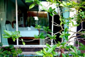 feung nakorn balcony rooms and cafe