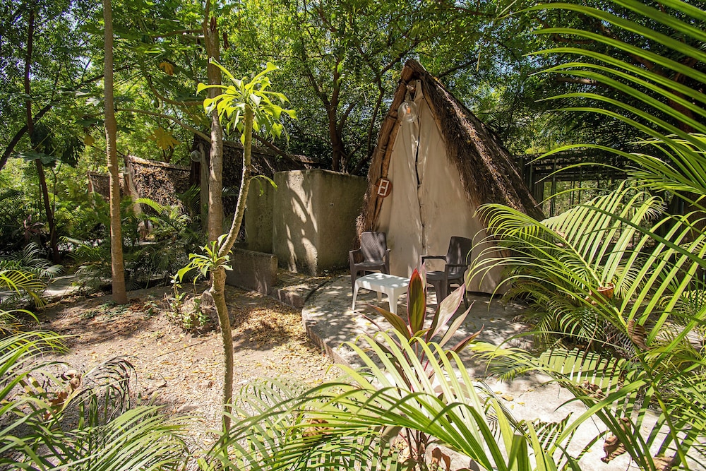 santuario beach hostel