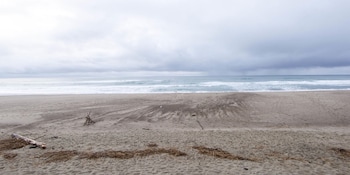 lincoln city