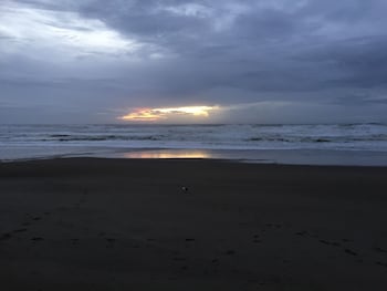 lincoln city