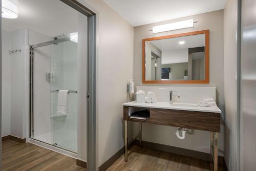 hampton inn linden