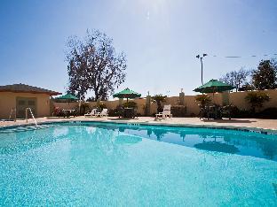holiday inn express hotel and suites live oak by ihg