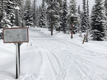 the lodge at lolo hot springs