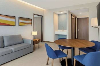 hilton garden inn san jose airport city mall