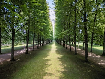 hampton by hilton celle