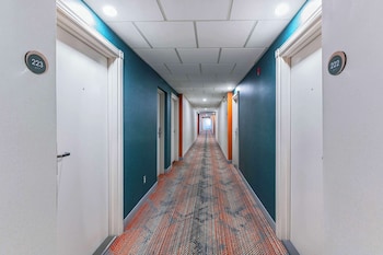 comfort suites london